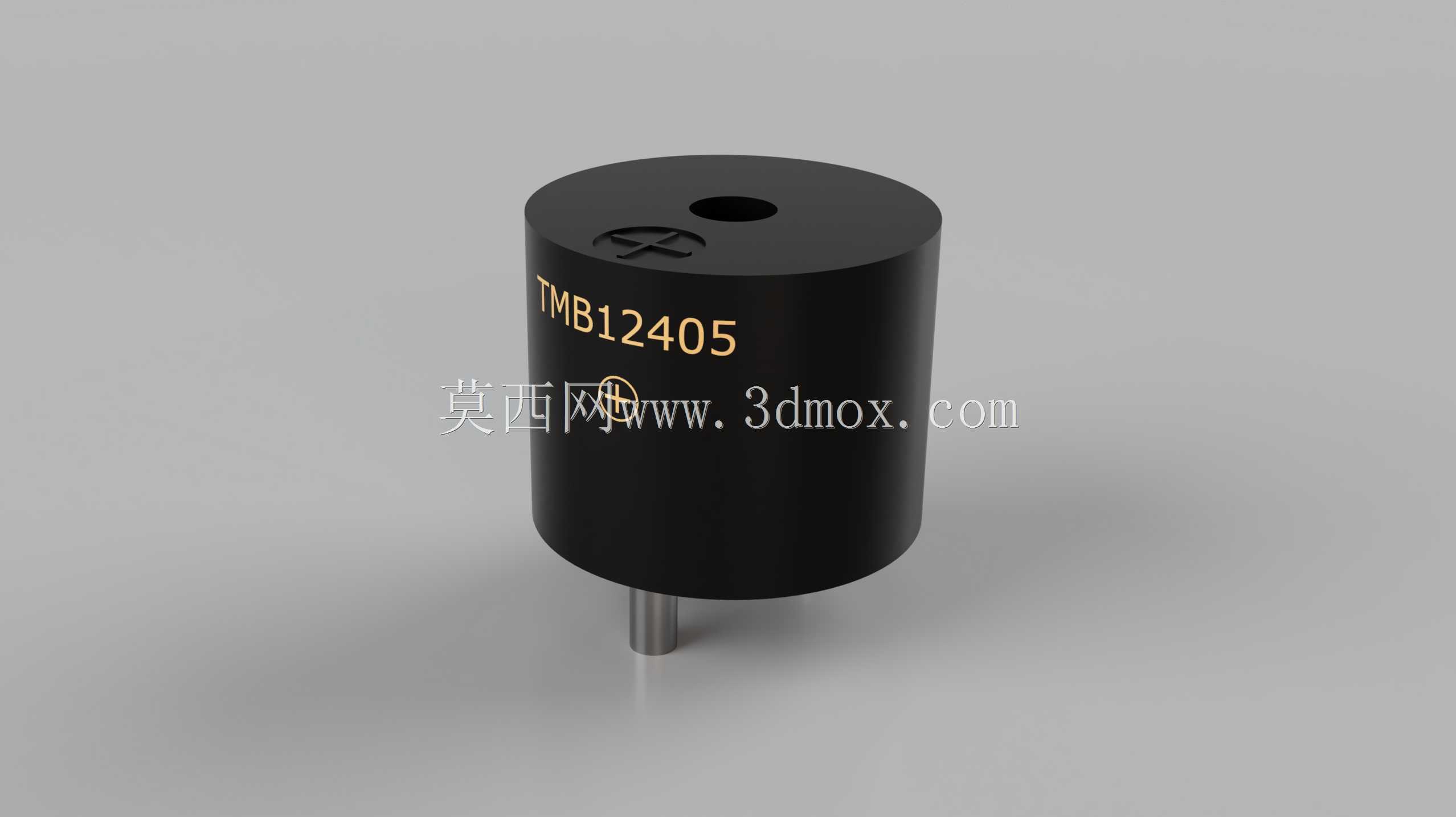 TMB12405