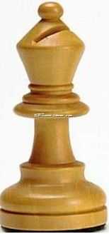 国际象棋项目
