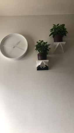 ǽ��