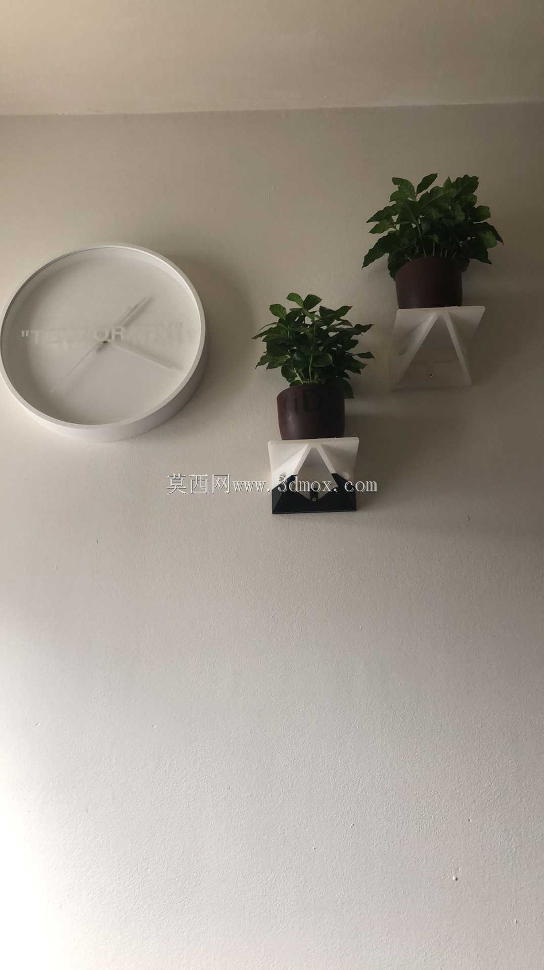 ǽ��