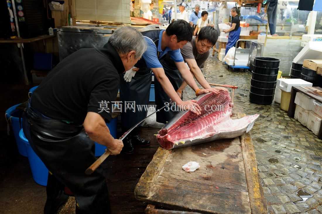 Maguro b��ch������ǹ�㵶��