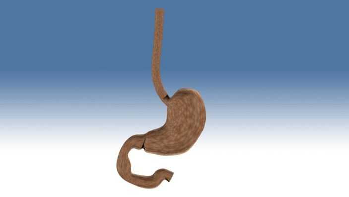 2012_Stomach��Esophagus.ics
