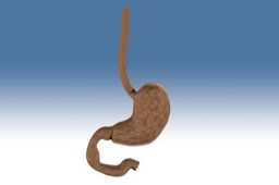 2012_Stomach��Esopha