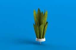 AquaColector