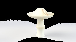 ҽ����