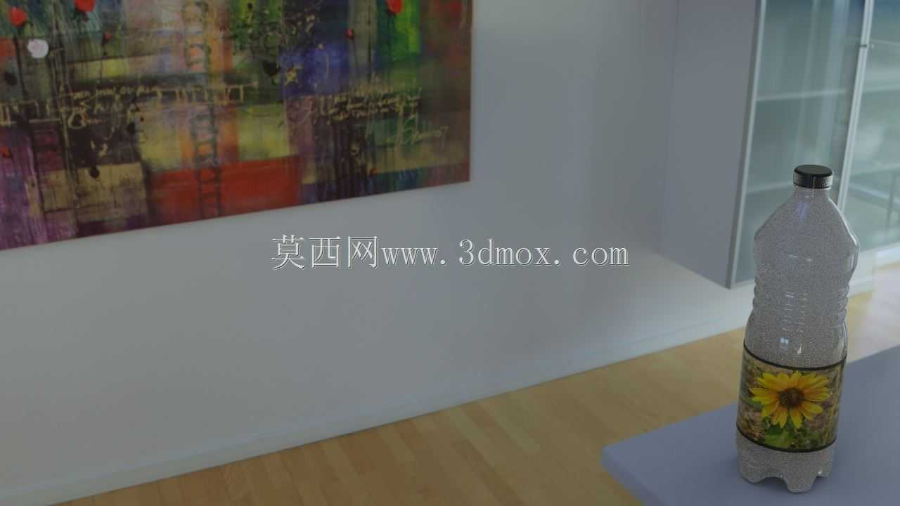 漂白瓶/油瓶