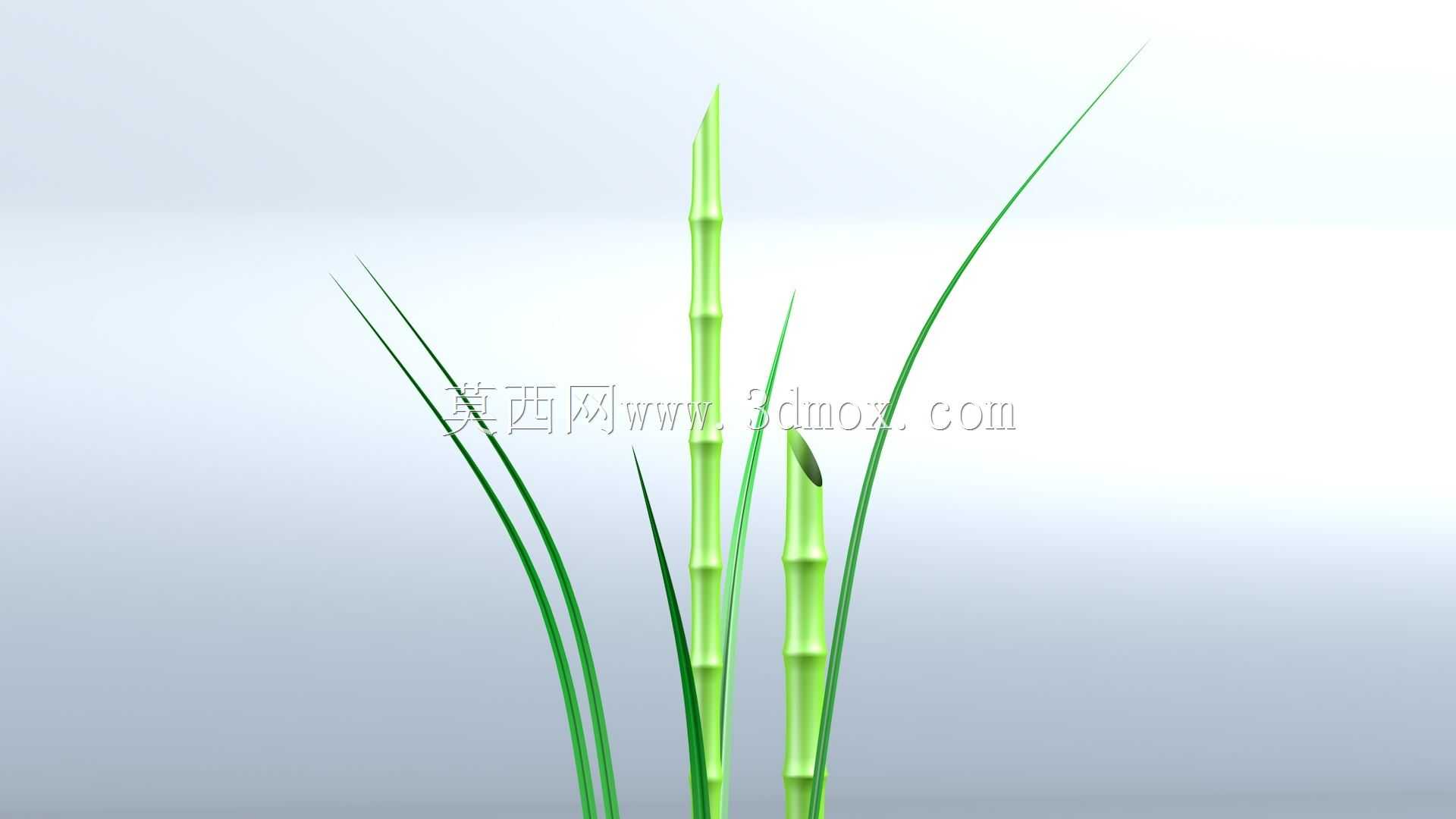 ����\u0026�ݱ�ֲ��