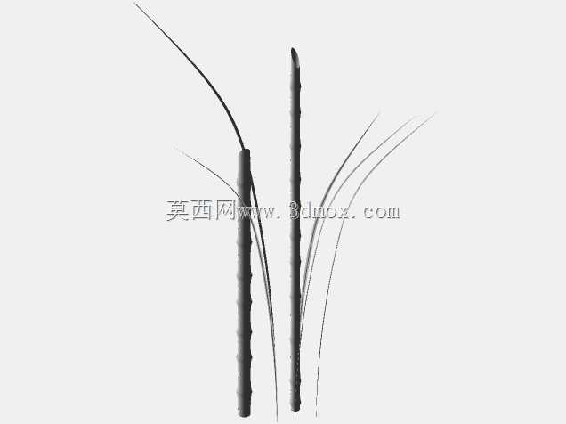 ����\u0026�ݱ�ֲ��