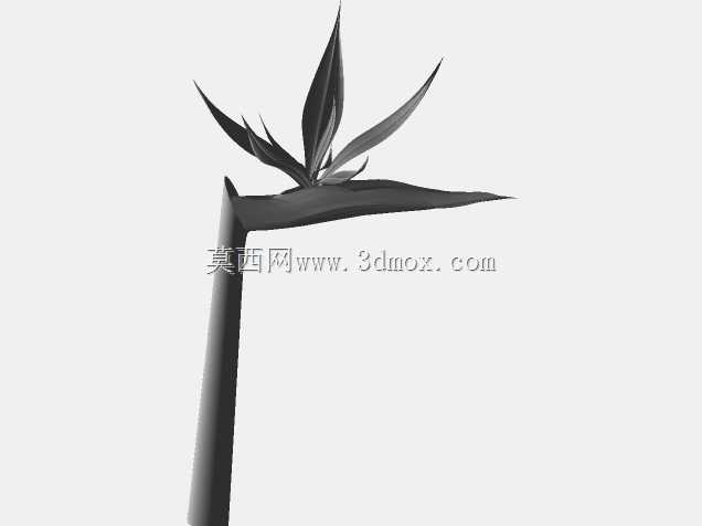 天堂鸟