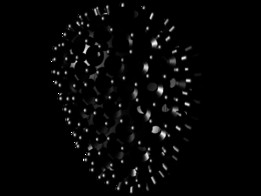 ʯ����