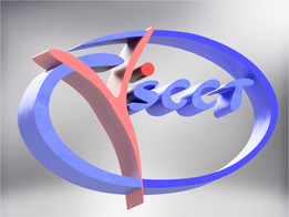 SCCT标志