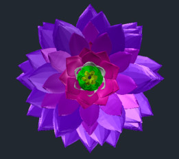 �ϻ�