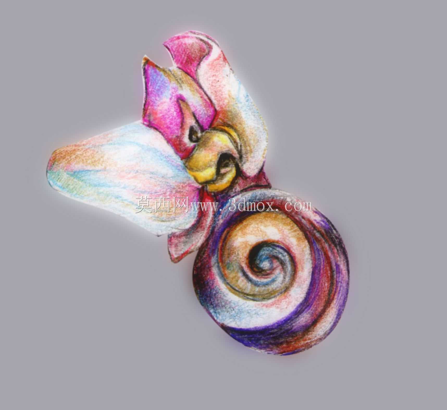 兰花
