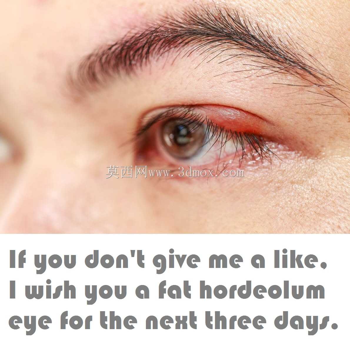 ���������ؿƷ�