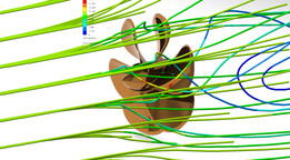 ��CFD��������Ĵ���