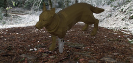 ���ü�֫ԭ�ͣ�Prototipo de protesis para perro��