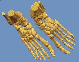 �Ź�