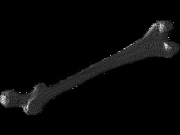 �ѹǼ����Ansys������FEA��