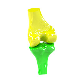 膝关节