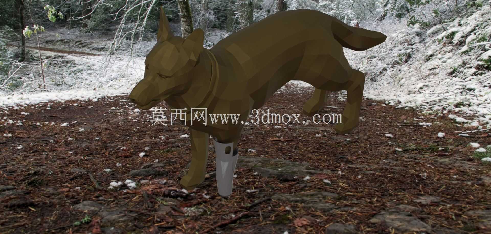 ���ü�֫ԭ�ͣ�Prototipo de protesis para perro��