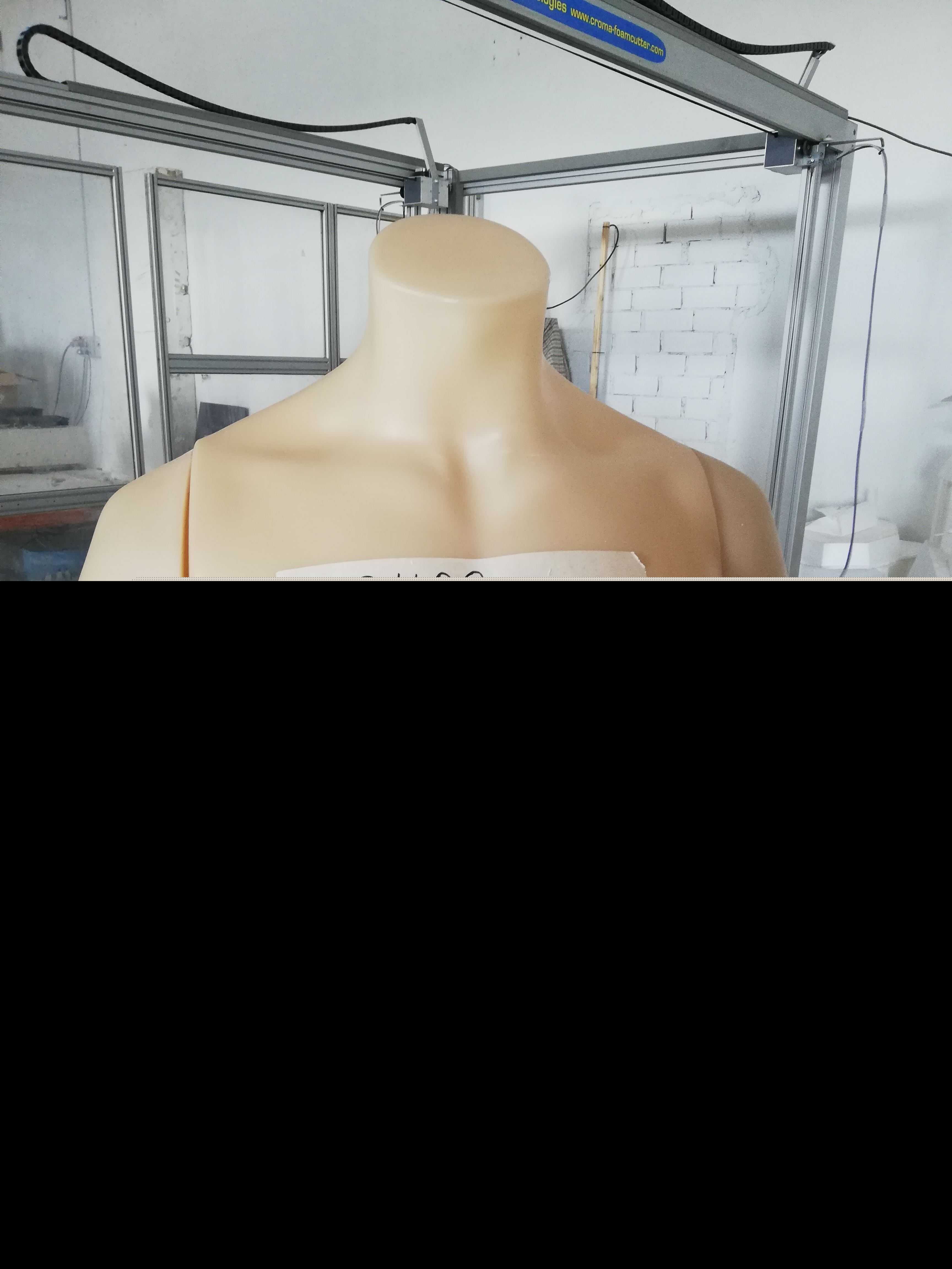 ��˹���ڶ�����