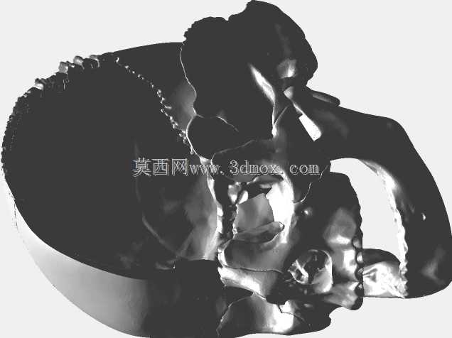 头骨\u0026大脑