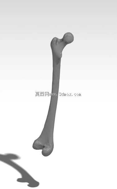 �ѹǼ����Ansys������FEA��