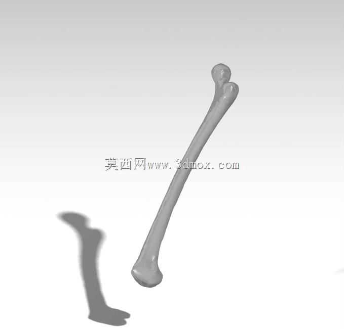 �ѹǼ����Ansys������FEA��
