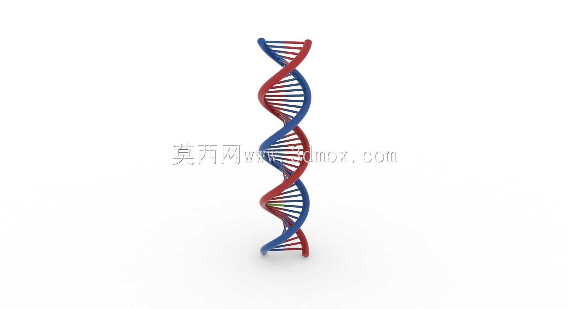 脱氧核糖核酸