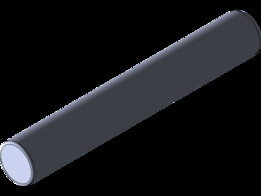 Ruger 10/22����������