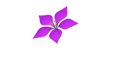���صĻ�