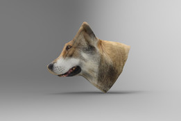 �ǹ�
