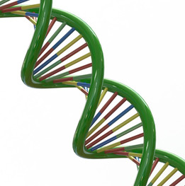 DNA��άģ��