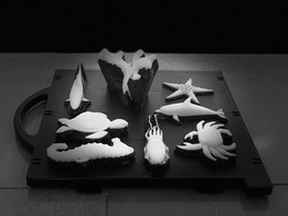 ����3D��ӡ