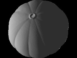 �Ϲ�