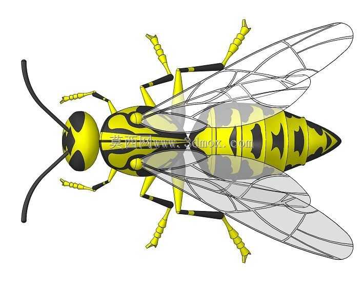 Solidworks�Ʒ�