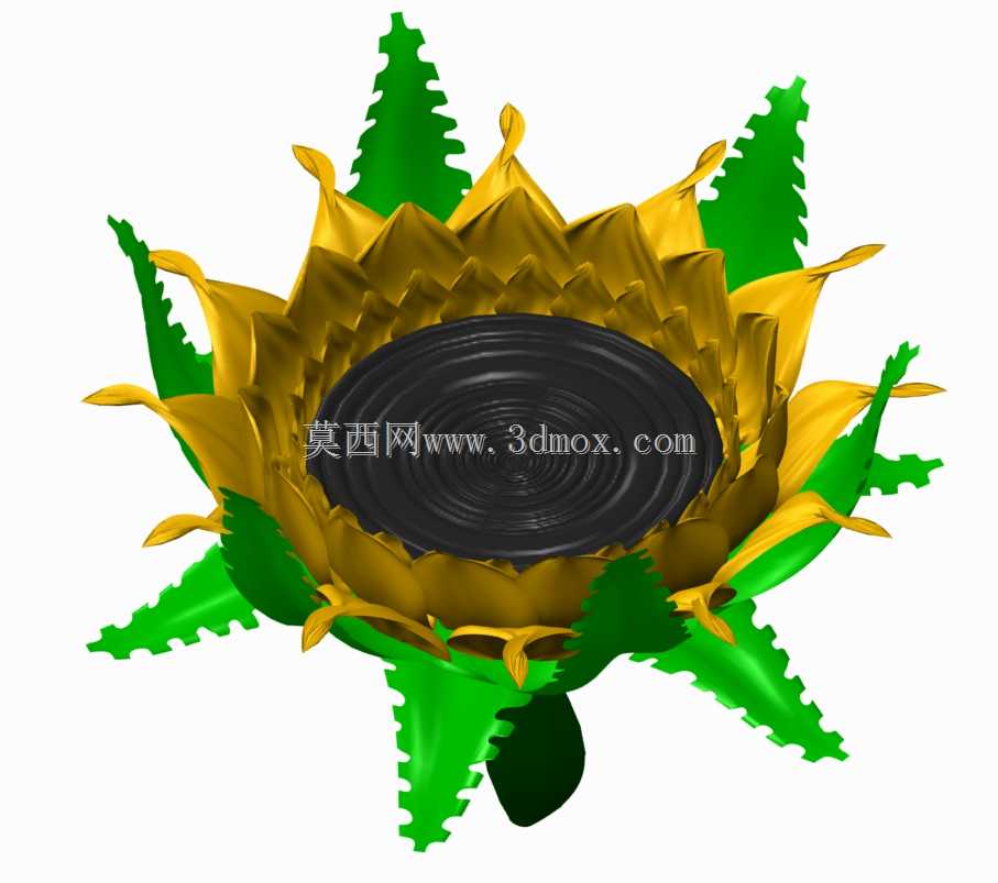���տ�