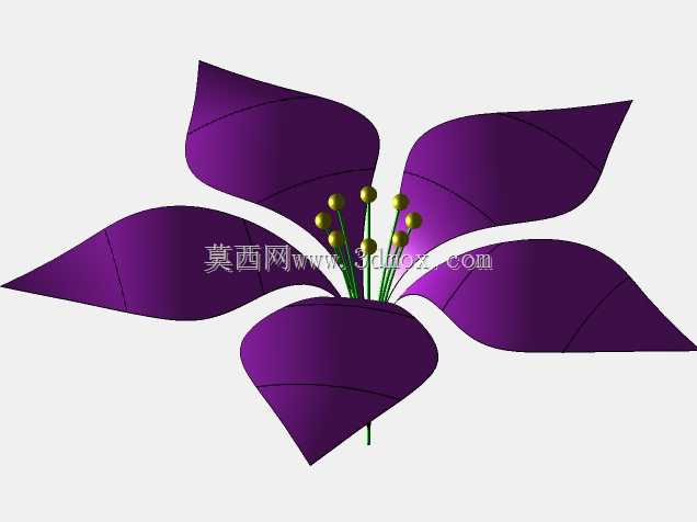���صĻ�