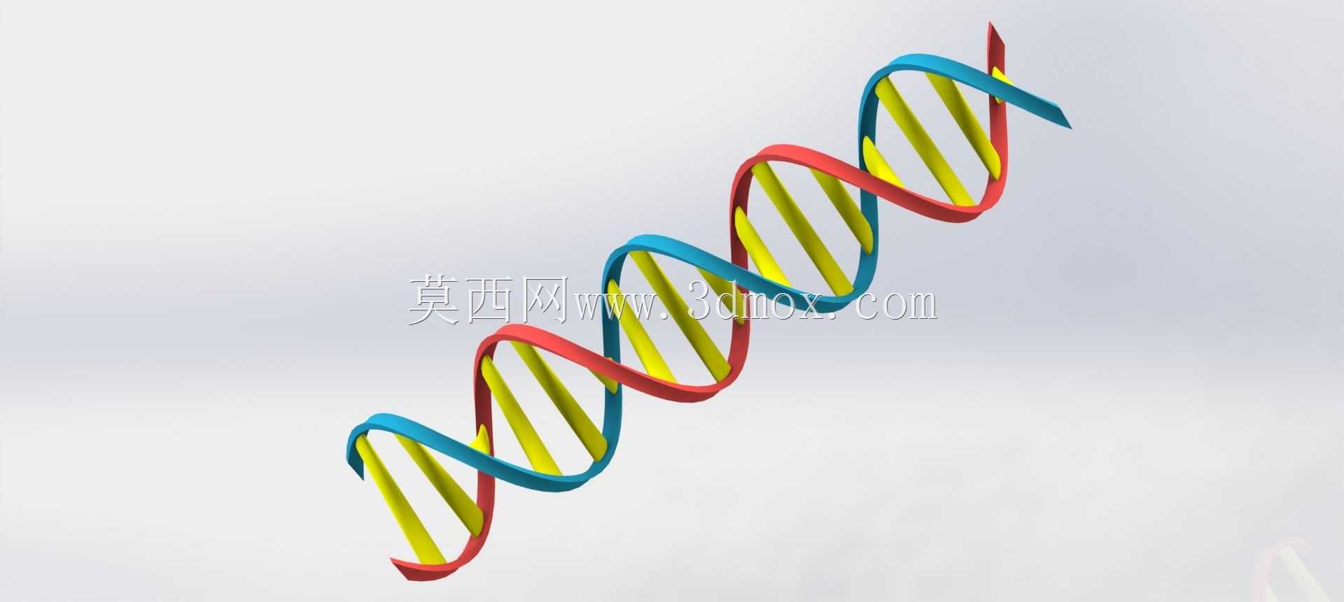 DNA��˫����