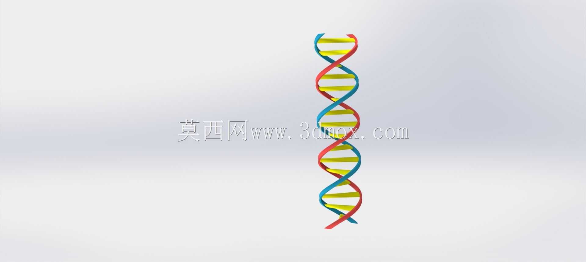 DNA��˫����