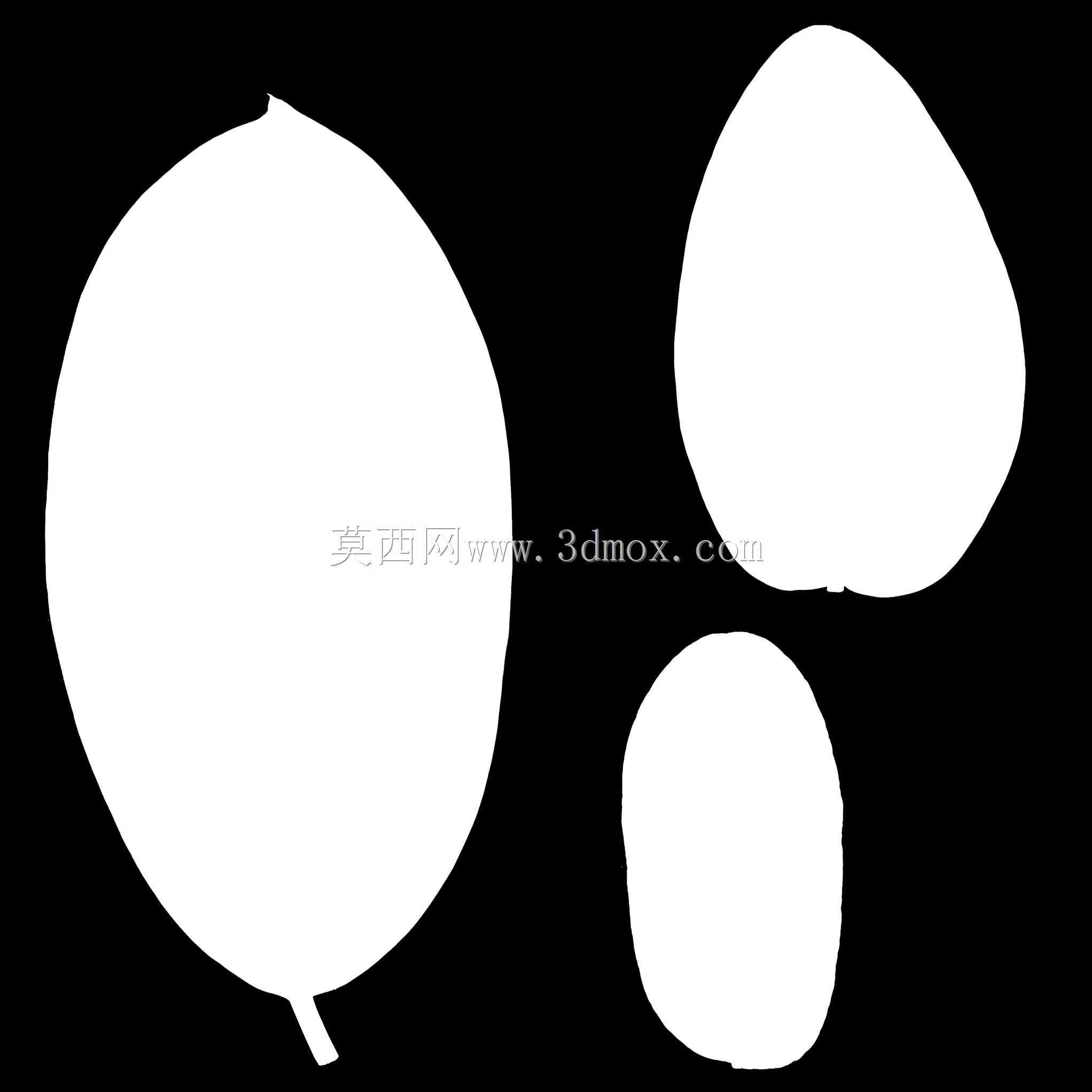����ֲ�Ｏ