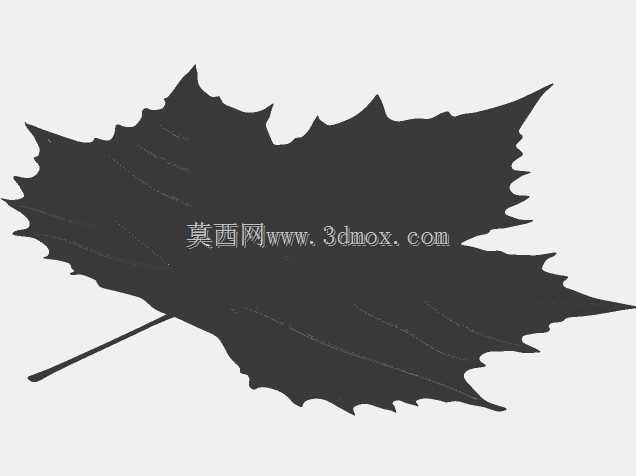 叶子