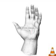 mano-sinistra��ά����ɨ��