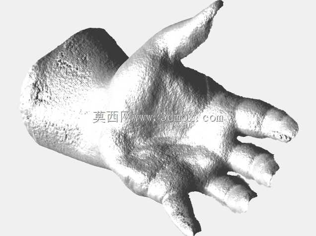 mano-sinistra��ά����ɨ��