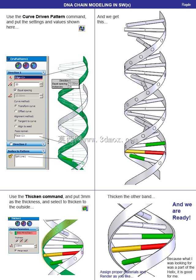 DNA��