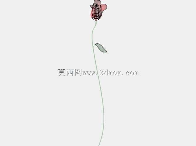 玫瑰