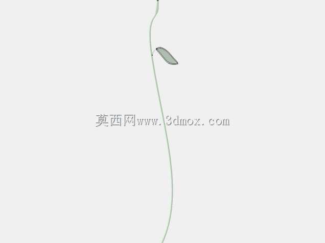 玫瑰