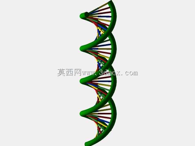 DNA��άģ��