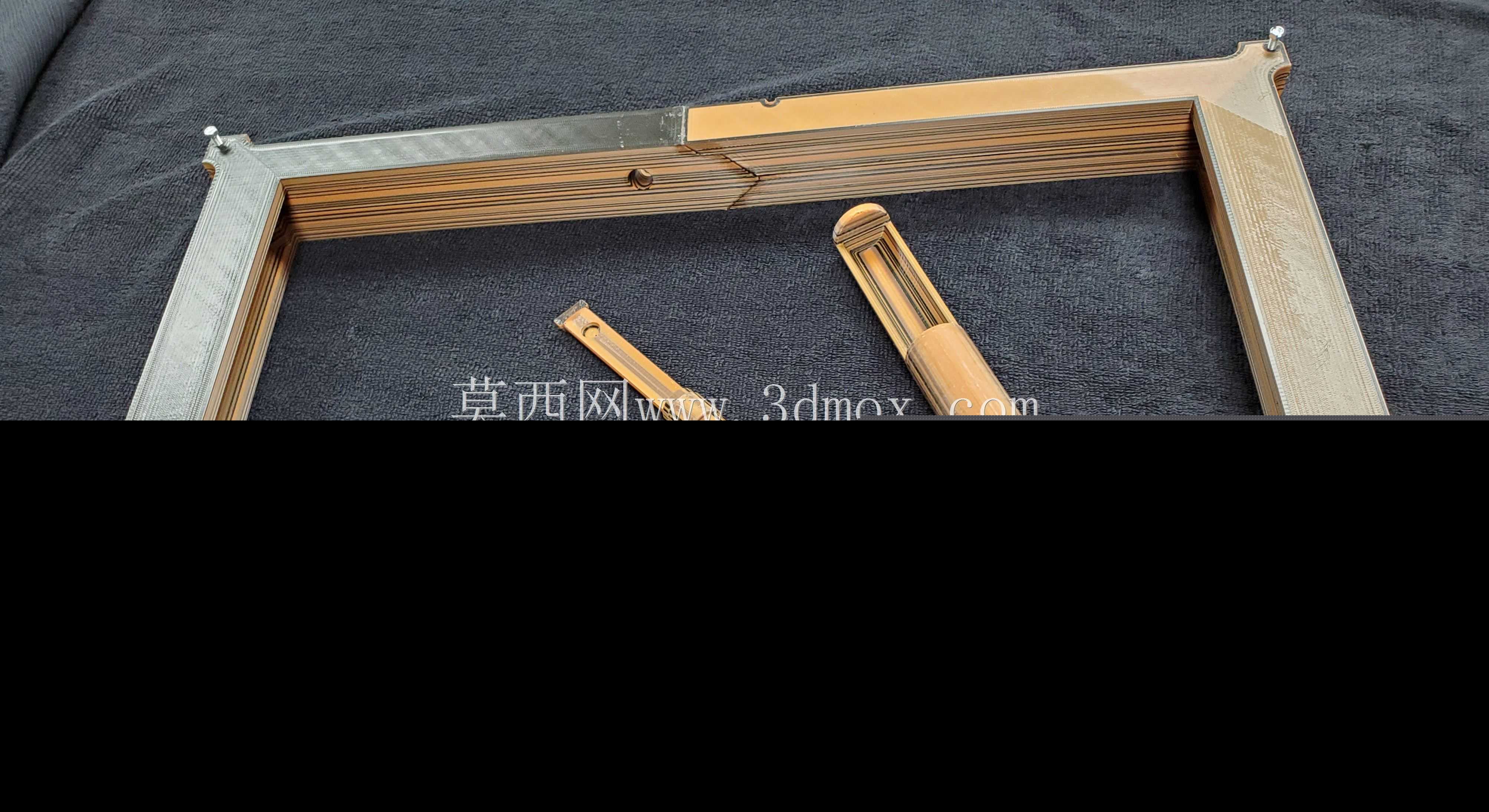 10加仑蚁