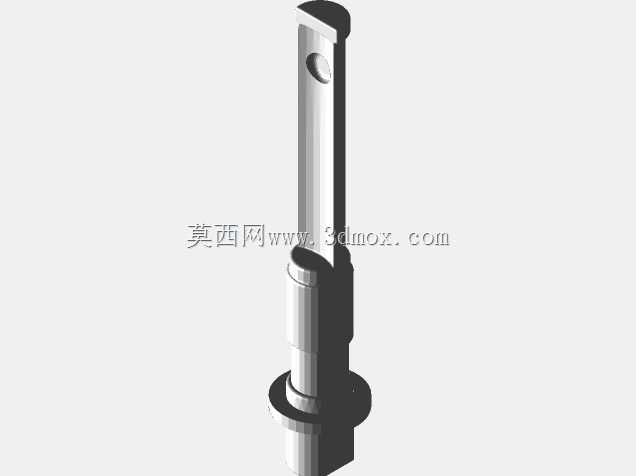 10加仑蚁